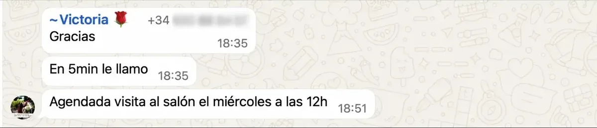 Captura de WhatsApp de una distribuidora que aplica el Método APOLO